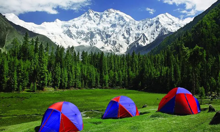 Fairy meadows 1